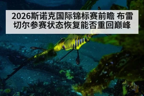 2026斯诺克国际锦标赛前瞻 布雷切尔参赛状态恢复能否重回巅峰